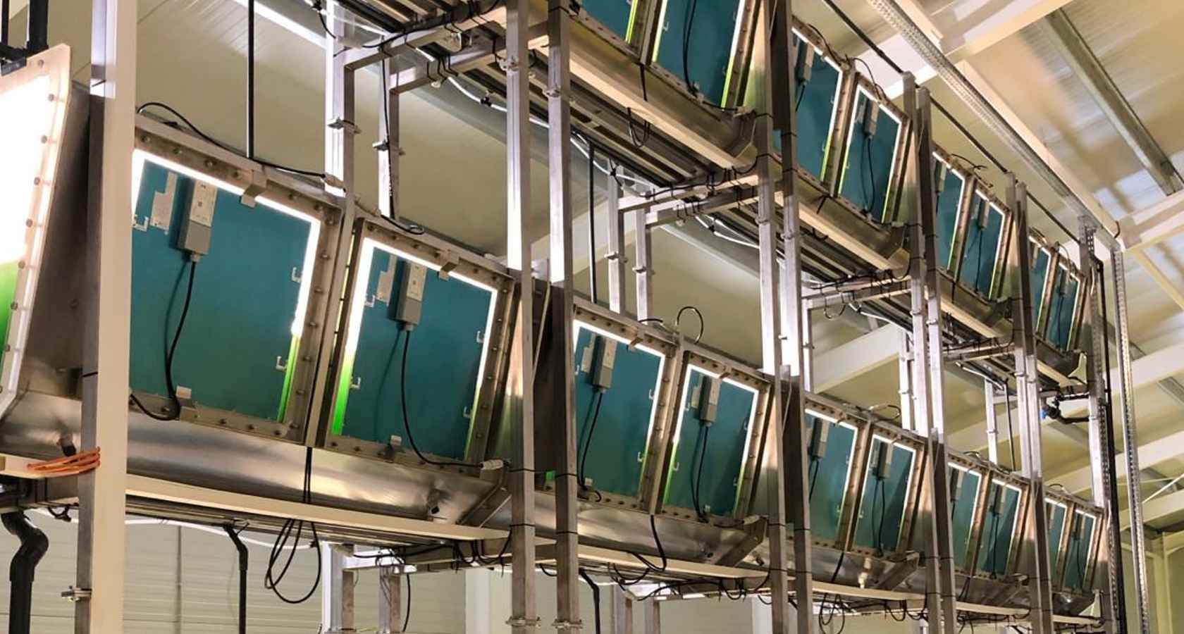 AlgaFarms photobioreactors